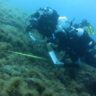 Mozione pulizia fondali dopo la festa dell’8 settembre